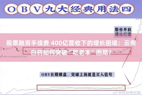 股票融资手续费 400亿营收下的增长困境：云南白药如何突破“吃老本”困局？