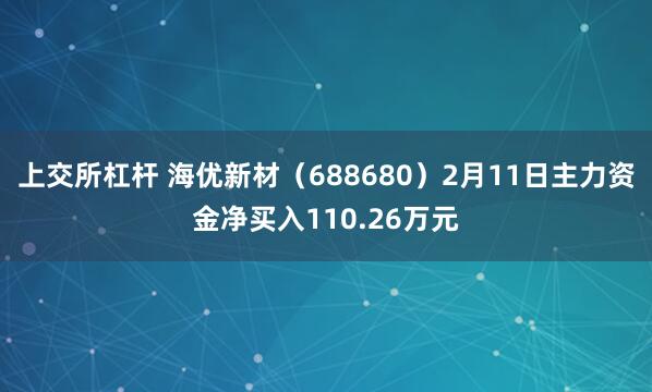 上交所杠杆 海优新材（688680）2月11日主力资金净买入110.26万元