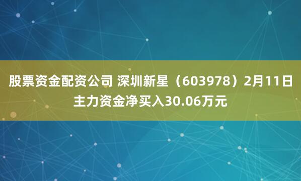 股票资金配资公司 深圳新星（603978）2月11日主力资金净买入30.06万元