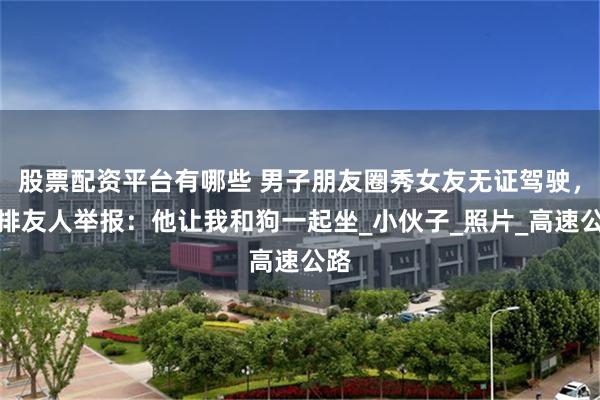 股票配资平台有哪些 男子朋友圈秀女友无证驾驶，后排友人举报：他让我和狗一起坐_小伙子_照片_高速公路