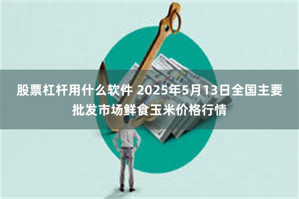 股票杠杆用什么软件 2025年5月13日全国主要批发市场鲜食玉米价格行情