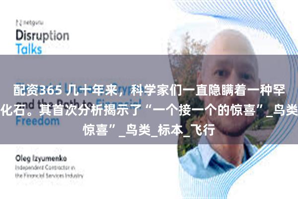 配资365 几十年来，科学家们一直隐瞒着一种罕见的始祖鸟化石。其首次分析揭示了“一个接一个的惊喜”_鸟类_标本_飞行