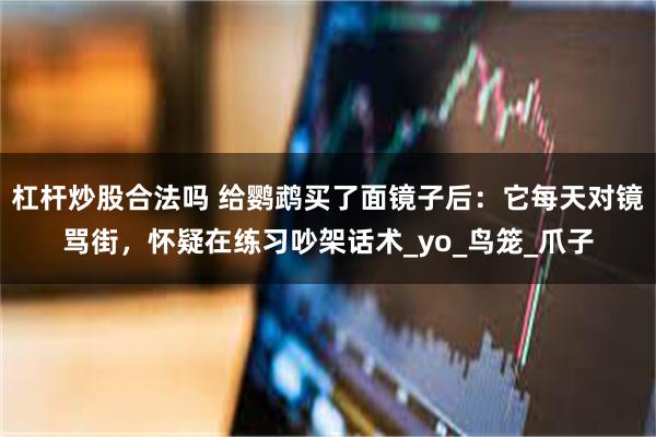 杠杆炒股合法吗 给鹦鹉买了面镜子后：它每天对镜骂街，怀疑在练习吵架话术_yo_鸟笼_爪子