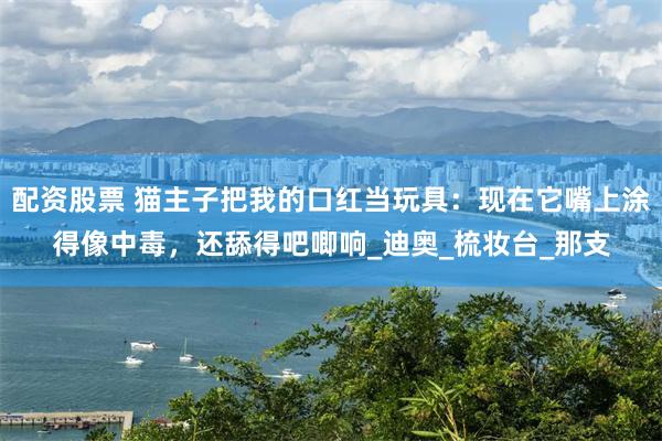配资股票 猫主子把我的口红当玩具：现在它嘴上涂得像中毒，还舔得吧唧响_迪奥_梳妆台_那支