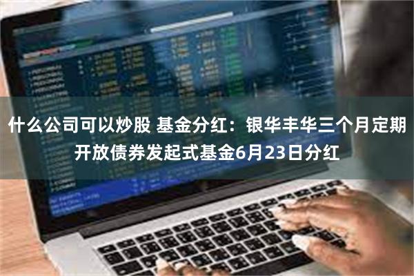 什么公司可以炒股 基金分红：银华丰华三个月定期开放债券发起式基金6月23日分红