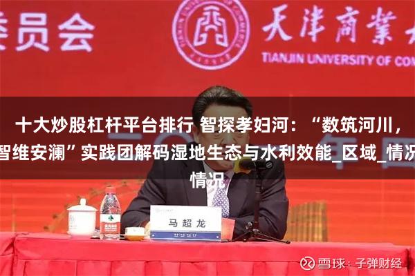 十大炒股杠杆平台排行 智探孝妇河：“数筑河川，智维安澜”实践团解码湿地生态与水利效能_区域_情况