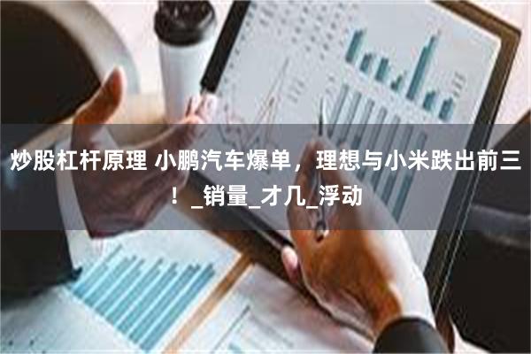 炒股杠杆原理 小鹏汽车爆单，理想与小米跌出前三！_销量_才几_浮动