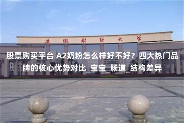 股票购买平台 A2奶粉怎么样好不好？四大热门品牌的核心优势对比_宝宝_肠道_结构差异