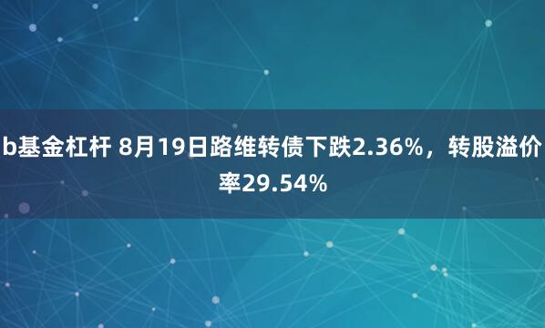 b基金杠杆 8月19日路维转债下跌2.36%，转股溢价率29.54%