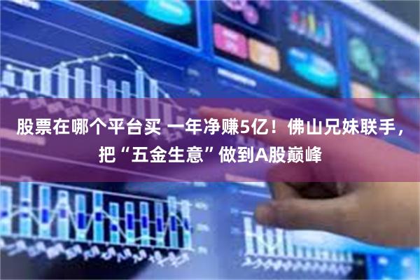 股票在哪个平台买 一年净赚5亿！佛山兄妹联手，把“五金生意”做到A股巅峰