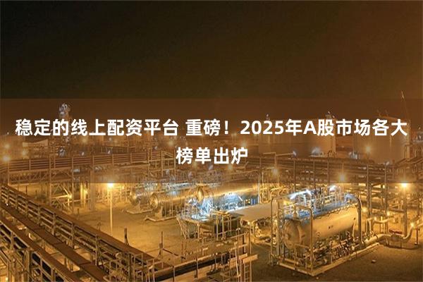 稳定的线上配资平台 重磅！2025年A股市场各大榜单出炉